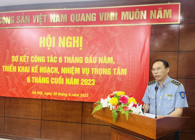 tong-ket-kiem-ngu-170020_743