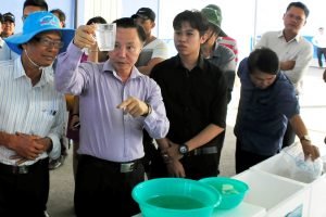 kinh nghiem chon tom giong, kinh nghiệm chọn tôm gióng, cách chọn tôm giống, cach chon tom giong, bi quyet chon tom giong, bí quyết chọn tôm gióng, cach lua chon tom giong, cách lựa chọn tôm giống