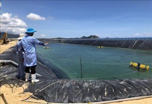 nuoi tom nuoc lo binh dinh, tin tuc thuy san 6/3, tin tuc nuoi tom 6/3, cach nuoi tom, cách nuôi tôm