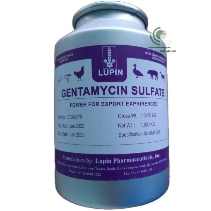 Gentamicin manufacture by lupin
