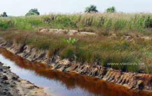 xu ly va on dinh luong phen ao nuoi tom, xu ly phen ao nuoi tom, on dinh phen ao nuoi tom, phen ao nuoi tom