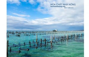 Thuoc-thuy-san-la-gi