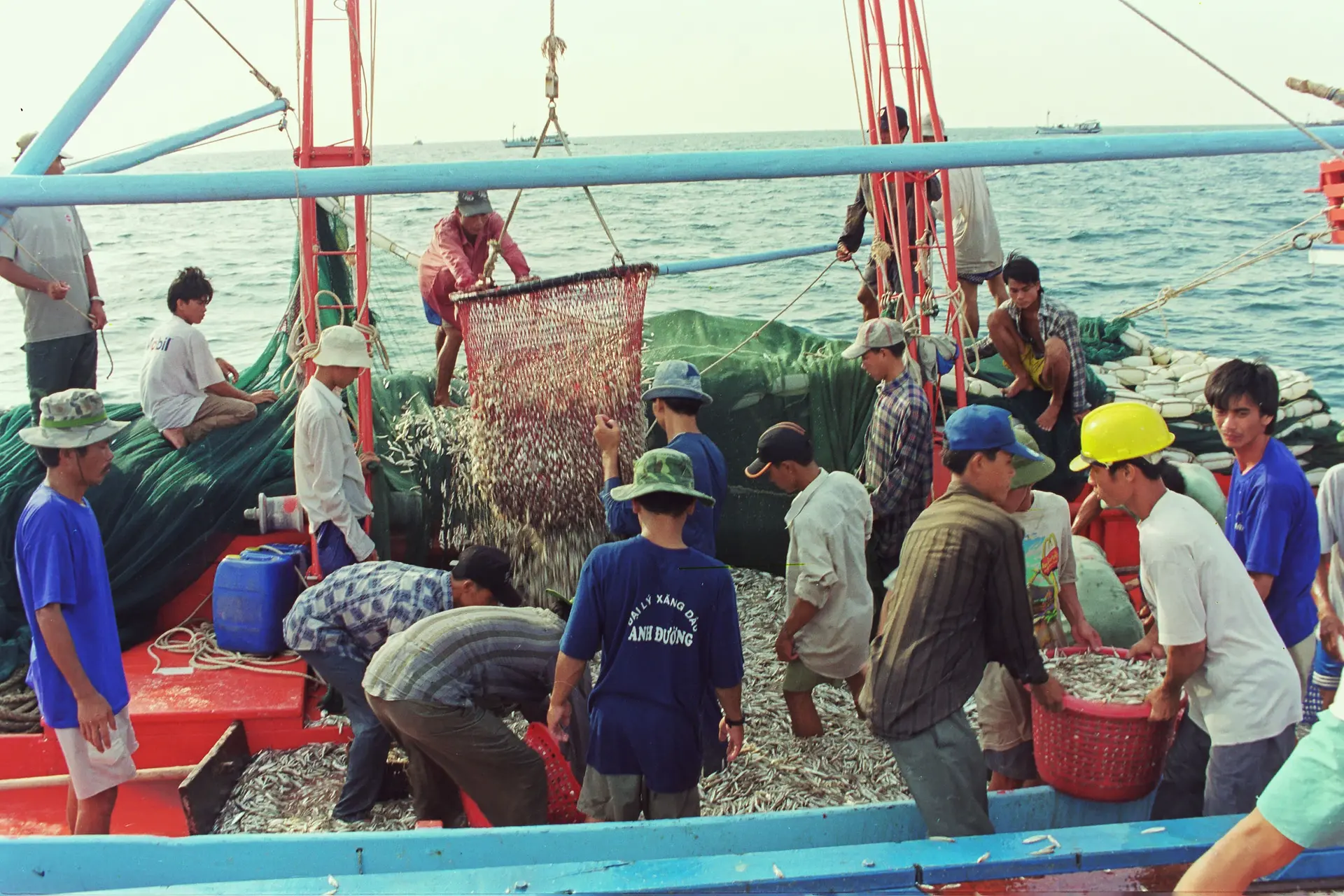 adanh-ca-com-phu-quoc-105525_624