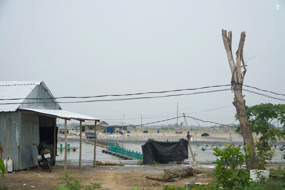 ao-tom_3_1692168724-1