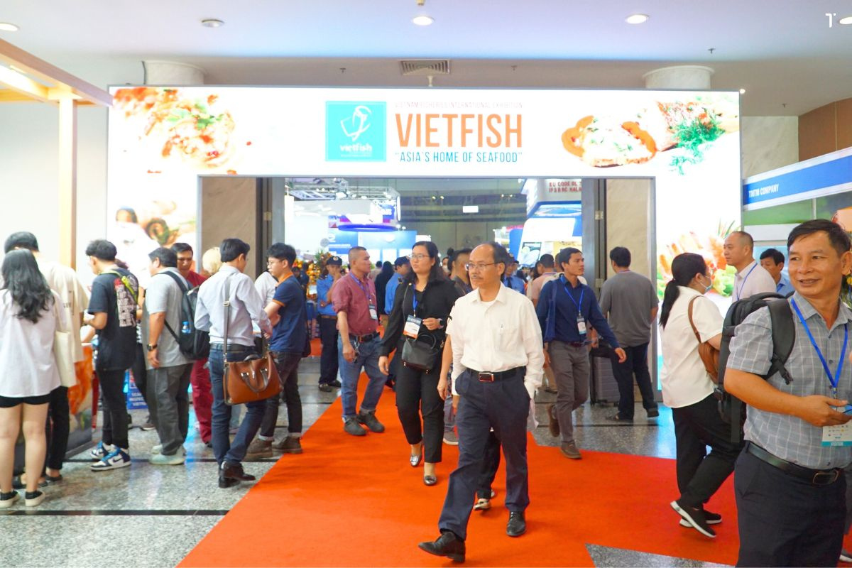 vietfish_1692870450