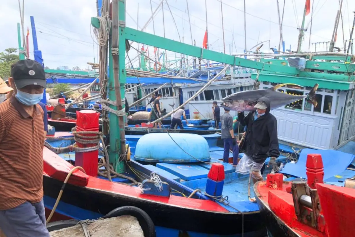 ca-ngu-dai-duong_1695699665