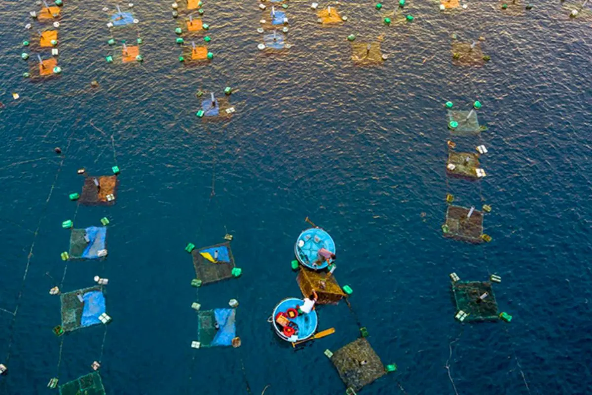 nuoi-trong-thuy-san_2_1694152556