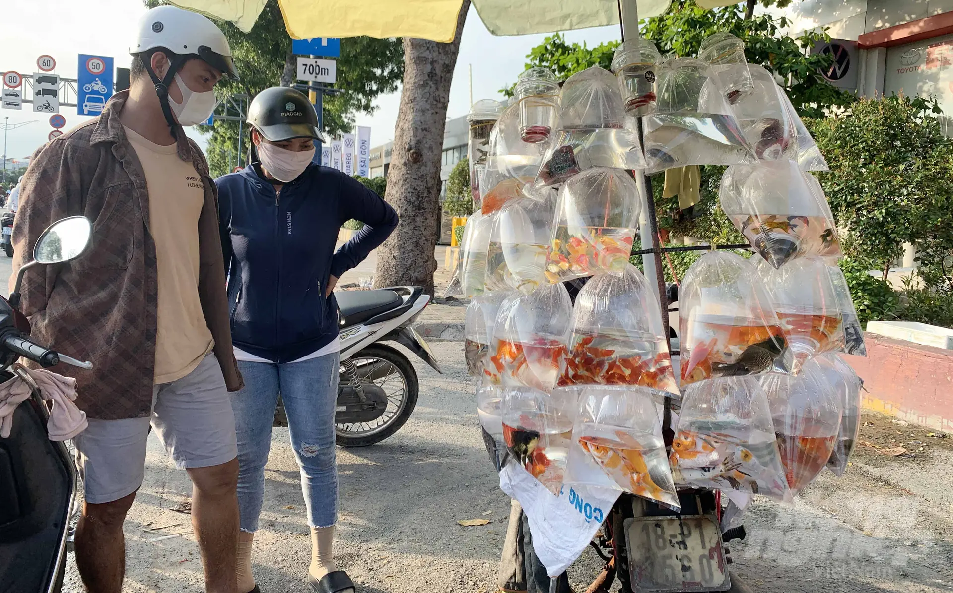bai-1-ca-canh-thu-choi-tao-nha-lau-doi-cua-nguoi-sai-gon-081302_114-081303
