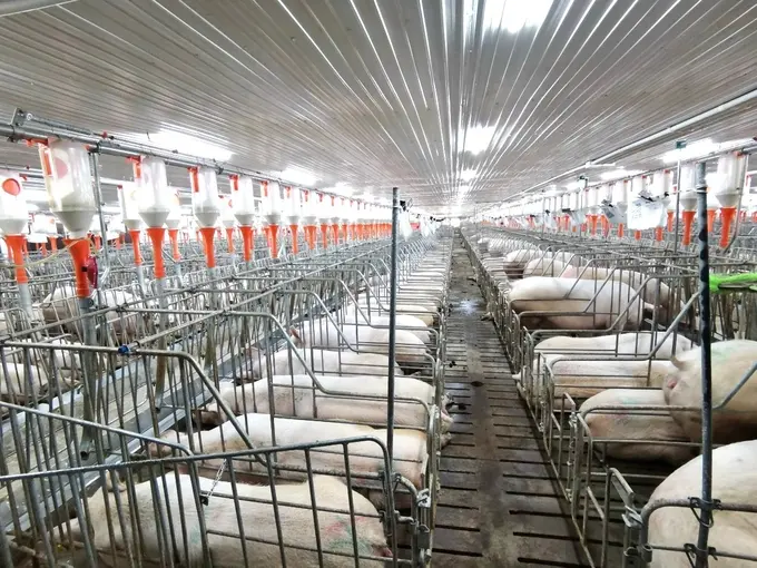 h2-111305_449-101911