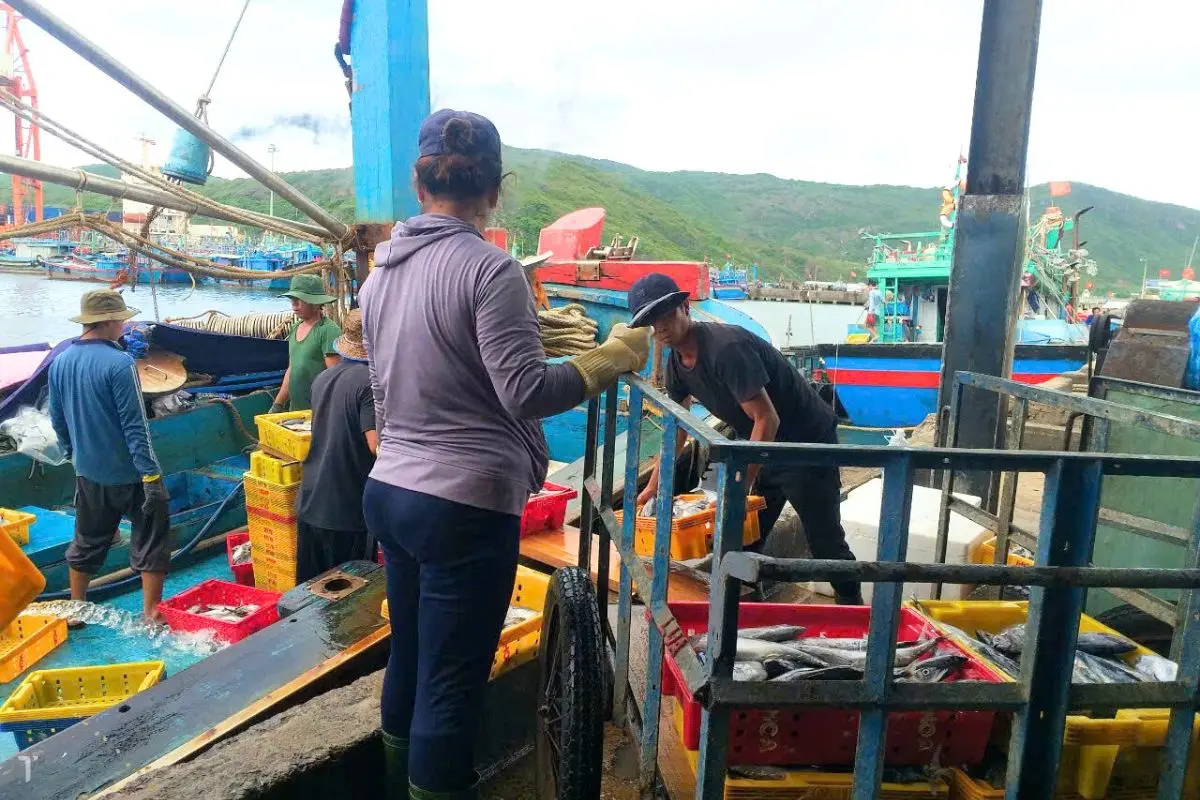 ngu-dan_8_1698219590