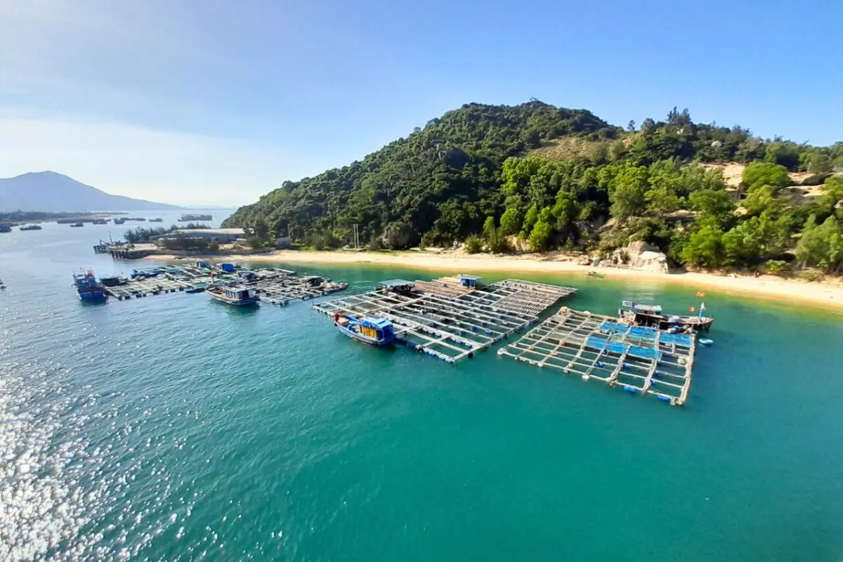 nuoi-trong-thuy-san_6_1696390307