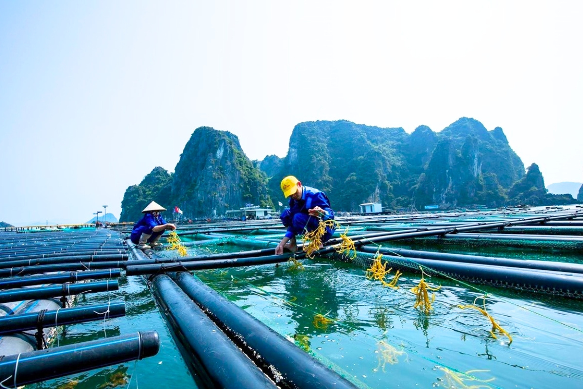 nuoi-trong-thuy-san_7_1696566422