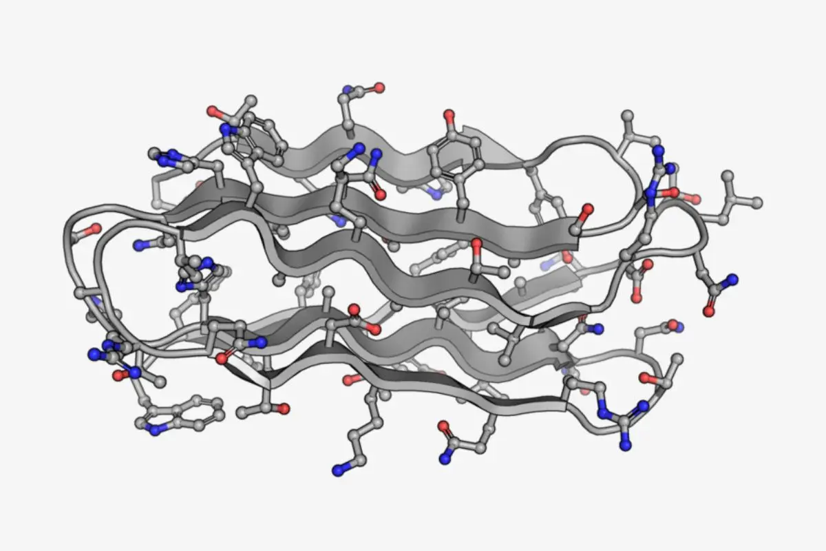 Bacteriocin_1701059217