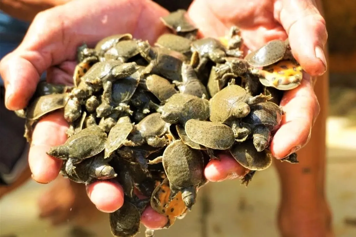 Con_baba_2_1700451834