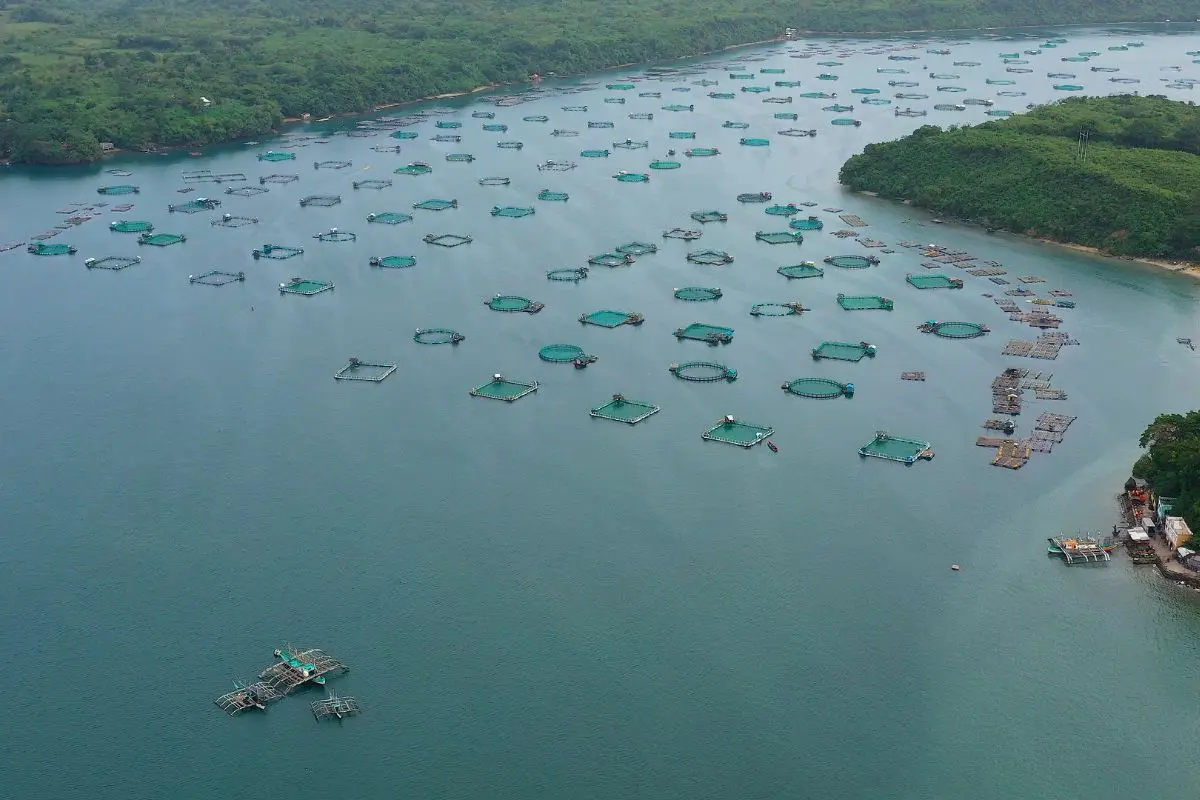 nuoi_long_be_1700452980