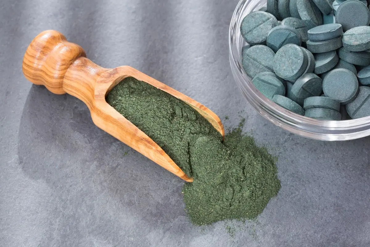 tao_Spirulina_1699587274