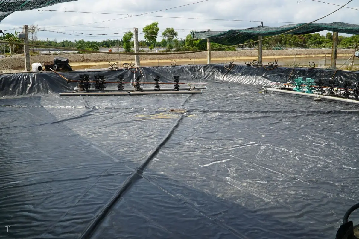 xi-phong-ao-tom_1700795803