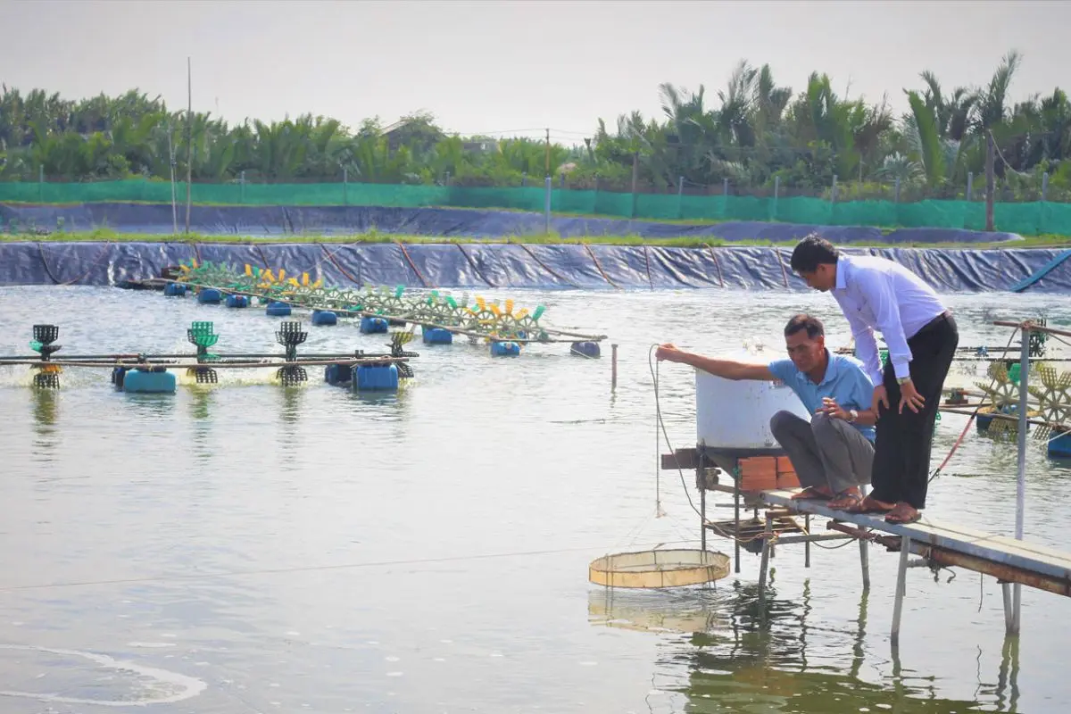 Thiet_ke_chua_co_ten_1701399693