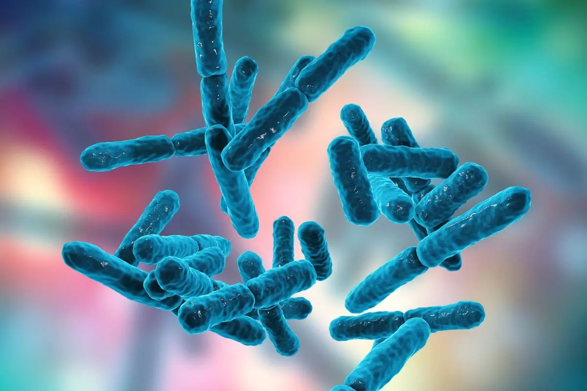 probiotic_1701664628
