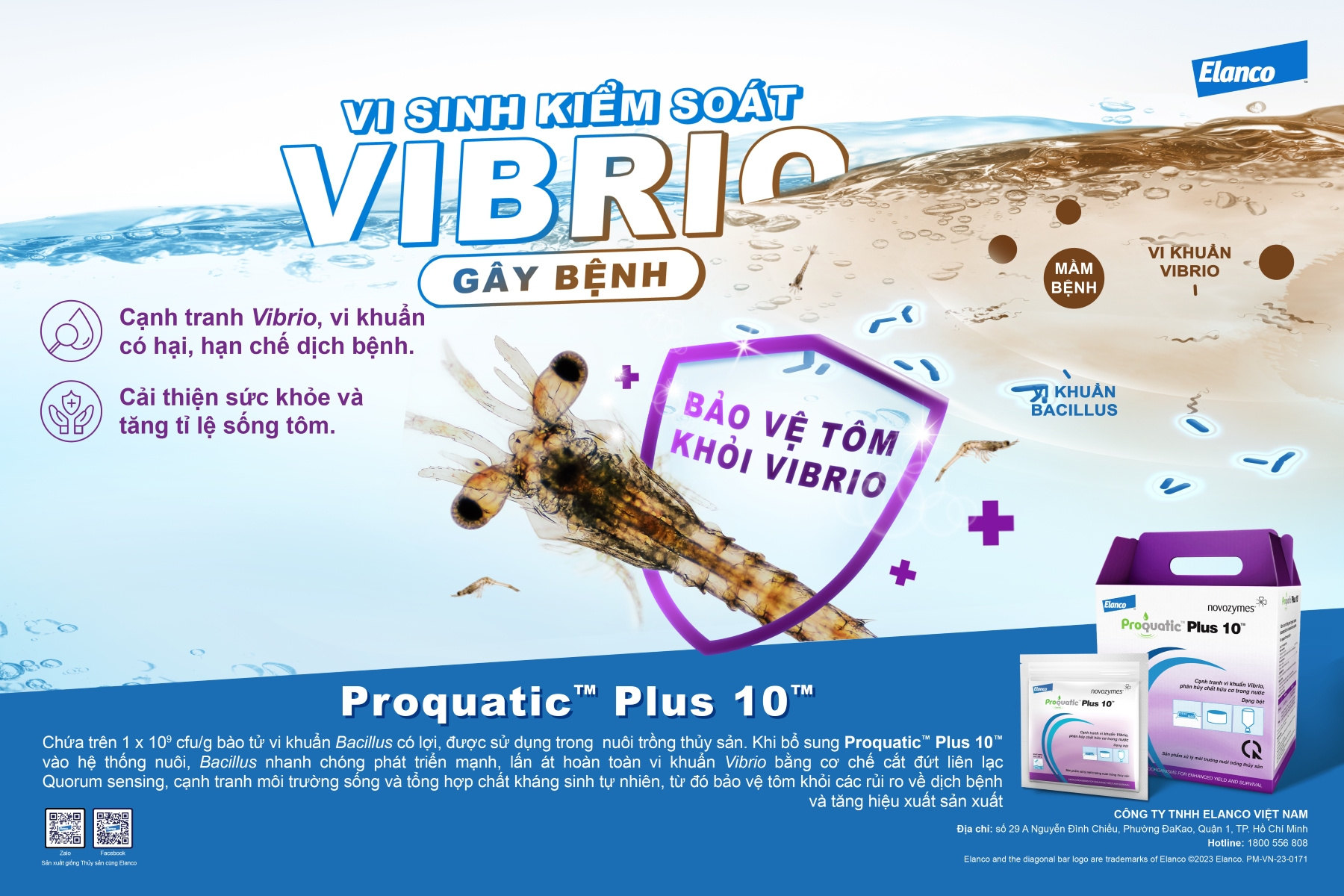vibro_1701249324