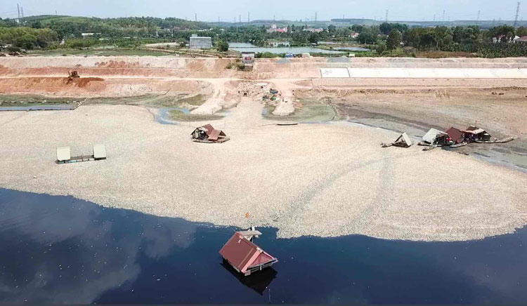 Hình ảnh cá chết trôi dạt tại Hồ Sông Mây, DN