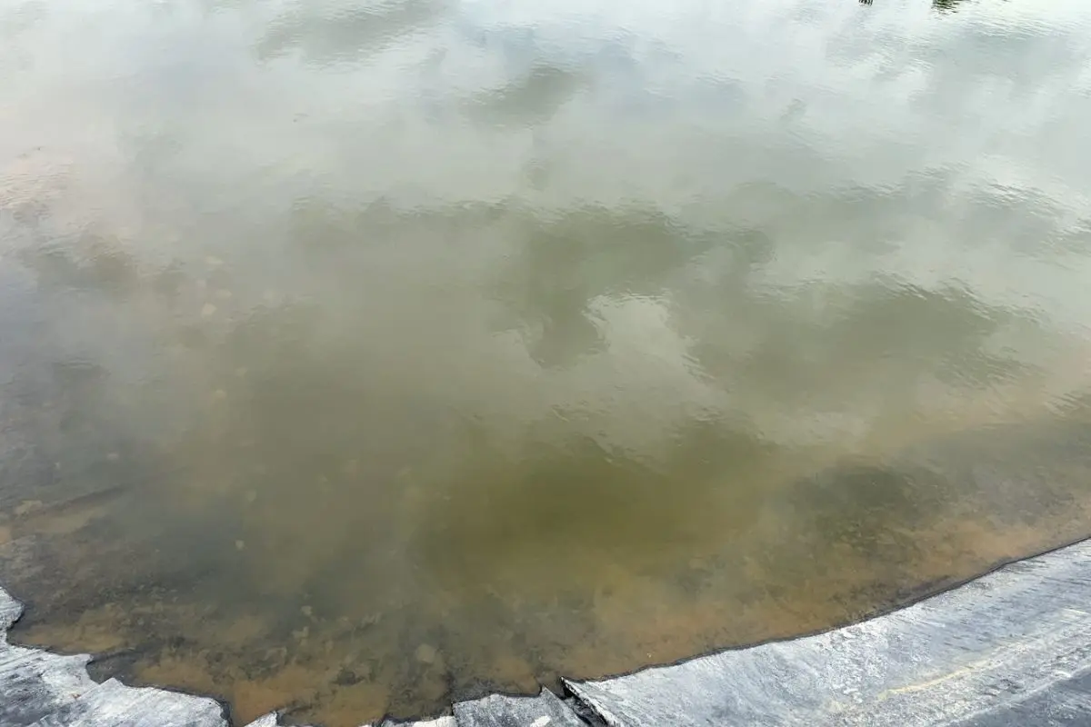 ao-nuoi-tom-2_1716260905