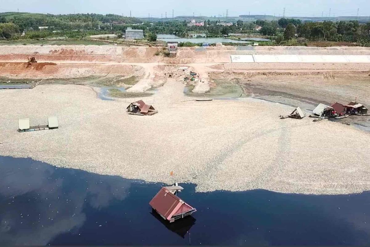 Ảnh cá chết tại Hồ Sông Mây