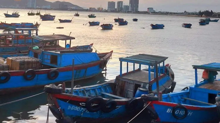 cảng cá Quy Nhơn