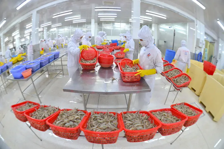 che-bien-xuat-khau-tom