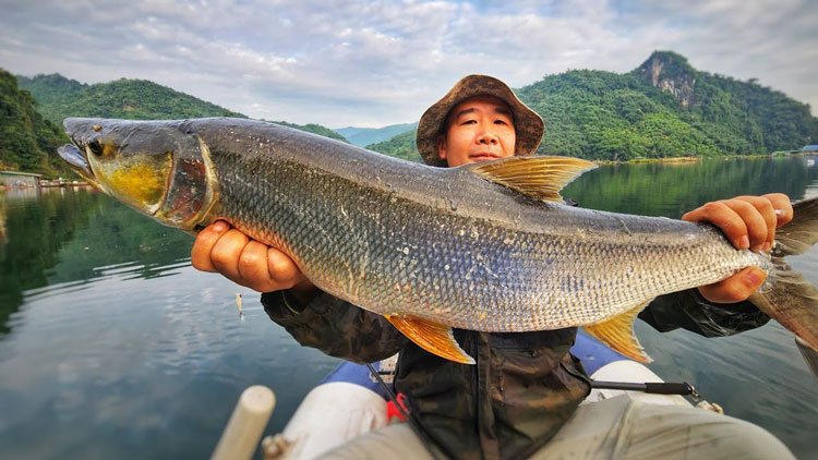 Hoạt động khai thác thủy sản trên hồ thủy điện Sông Đà