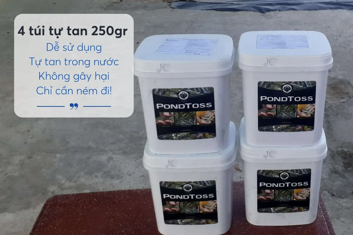 pondtoss-3_1715745386