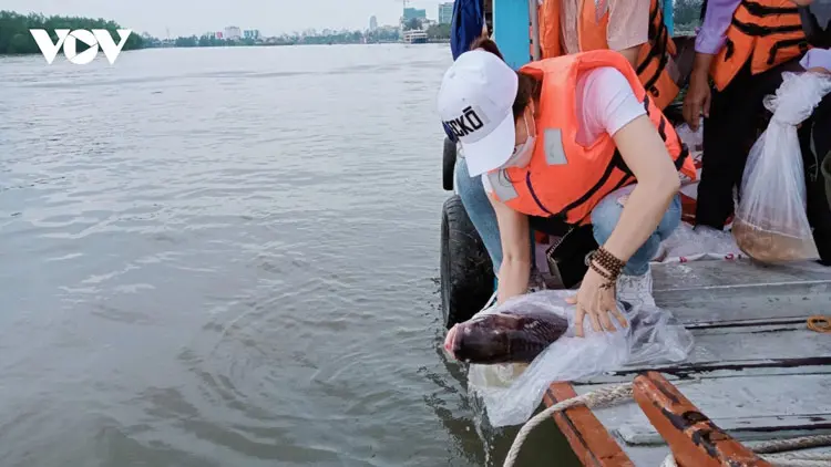 Hoạt động thả cá tái tạo nguồn lợi thủy sản