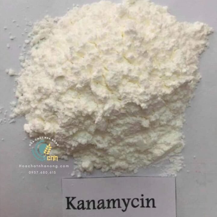 KANAMYCIN_NGUYEN_LIEU_1