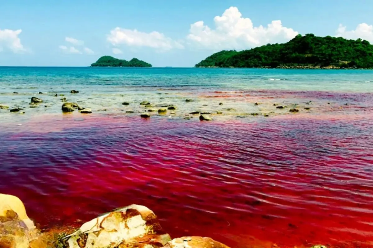 thuy-trieu-do-1_1719198353