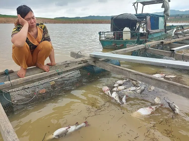 calang-1718967278-1348-1718967366