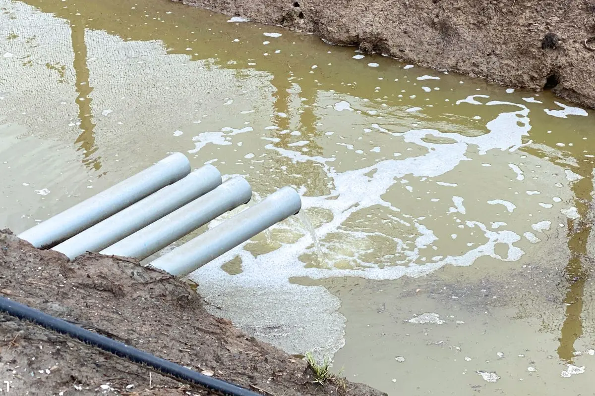 nuoc-xa-thai-ao-nuoi-tom_1719975873