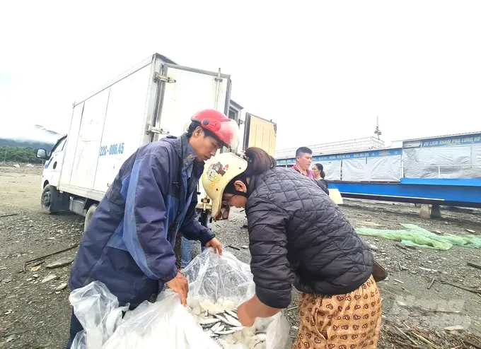 Chợ cá Bến Thủy