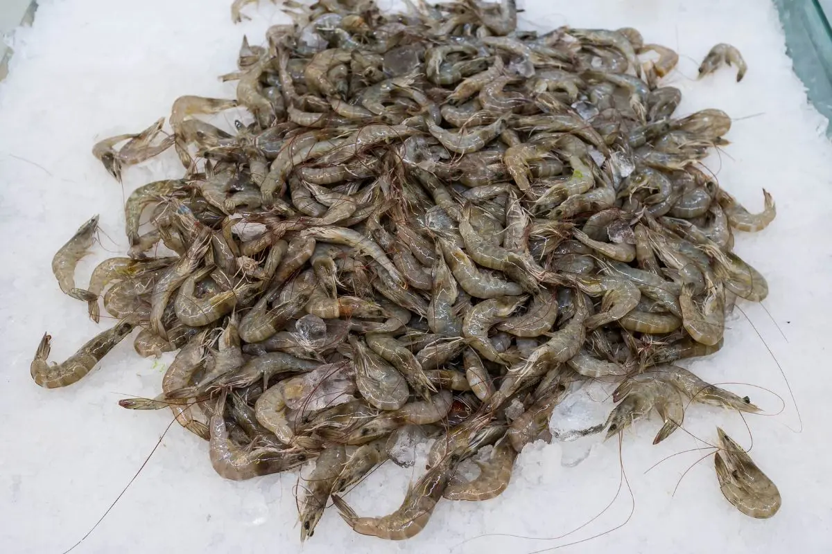 tom-nguyen-lieu-1_1722571649