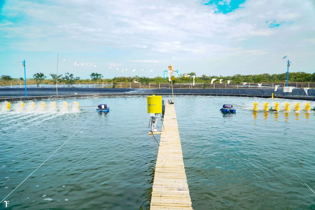 tom-the-dep-2_1722569433